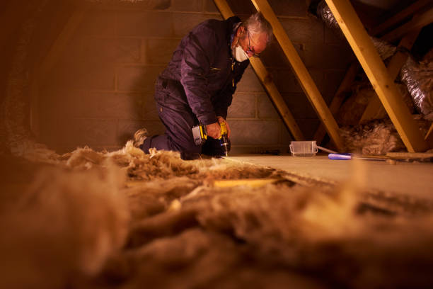 Eco-Friendly Insulation Solutions in Princeton, IN